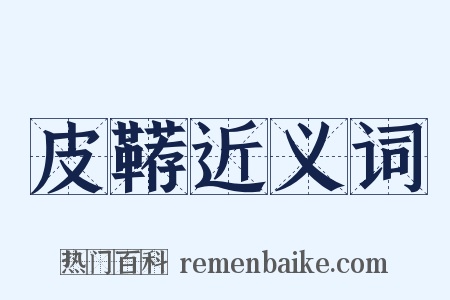 皮鞯近义词是什么意思的图片